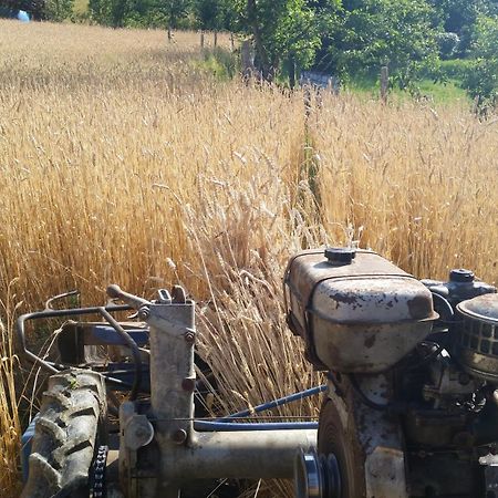 Azienda Agrituristica Risveglio Naturale Varese Ligure Eksteriør bilde