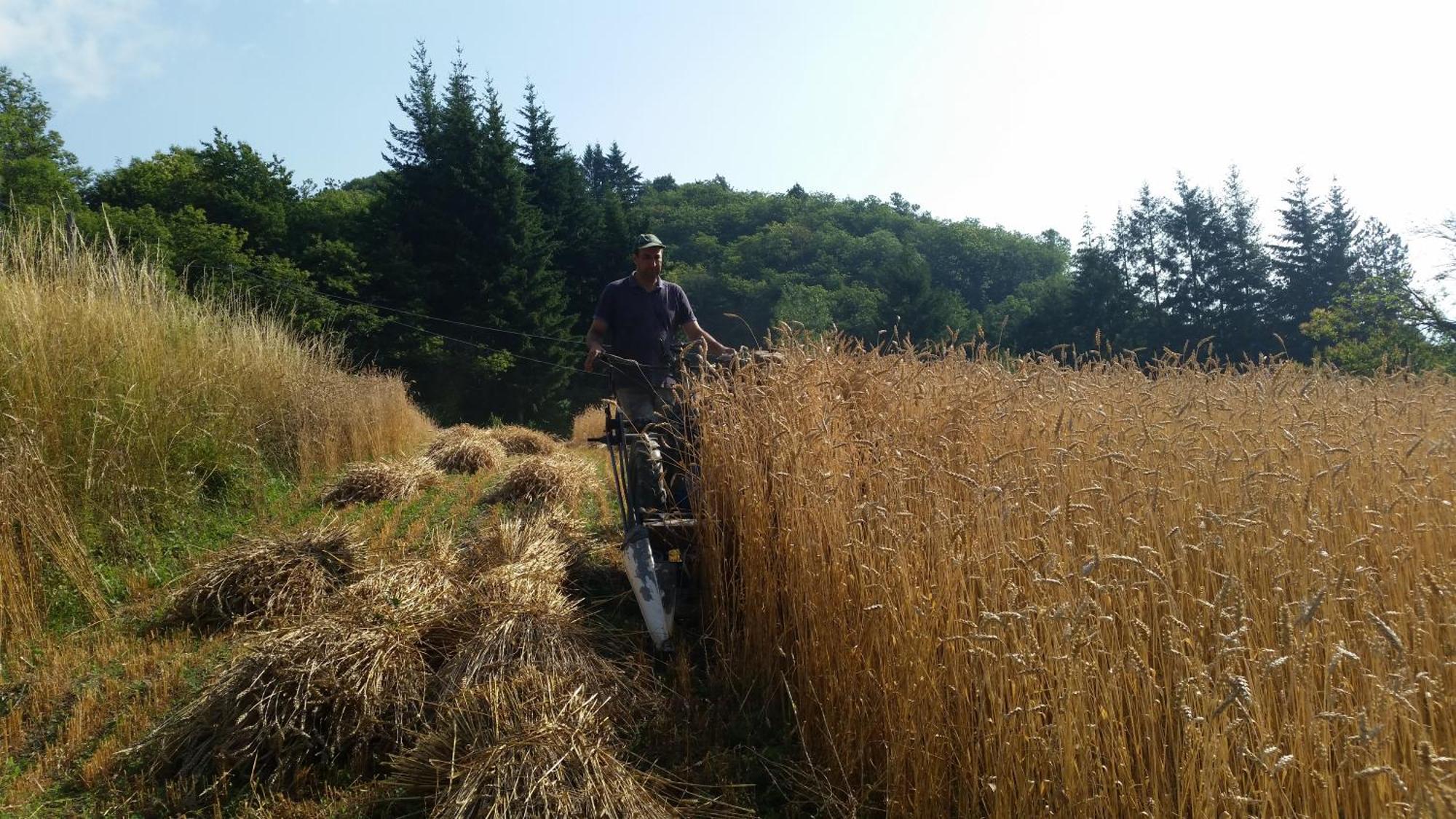 Azienda Agrituristica Risveglio Naturale Varese Ligure Eksteriør bilde